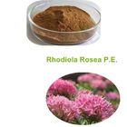 Rhodiola Rosea Extract Salidroside 1.0 - 3.0% Rosavin 1.0 - 3.0%