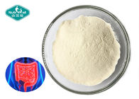 Anti-aging Probiotic Powder Leuconostoc mesenteroides 200B CFU/g