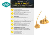 Male Health Natural Maca Capsule / Tablets for Men Health Supplement